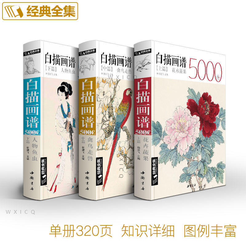 線の描画5000例3花、果物、野菜、鳥、動物、文字、魚、昆虫 - Art Book Illustration のレビューと価格